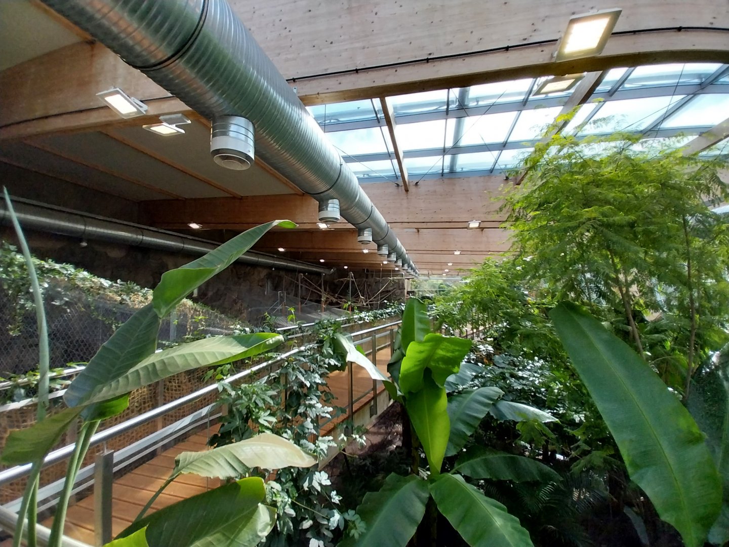 South America House - Upper Floor - General view