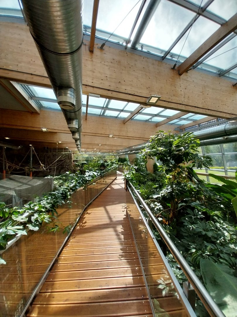 South America House - Upper Floor - General view