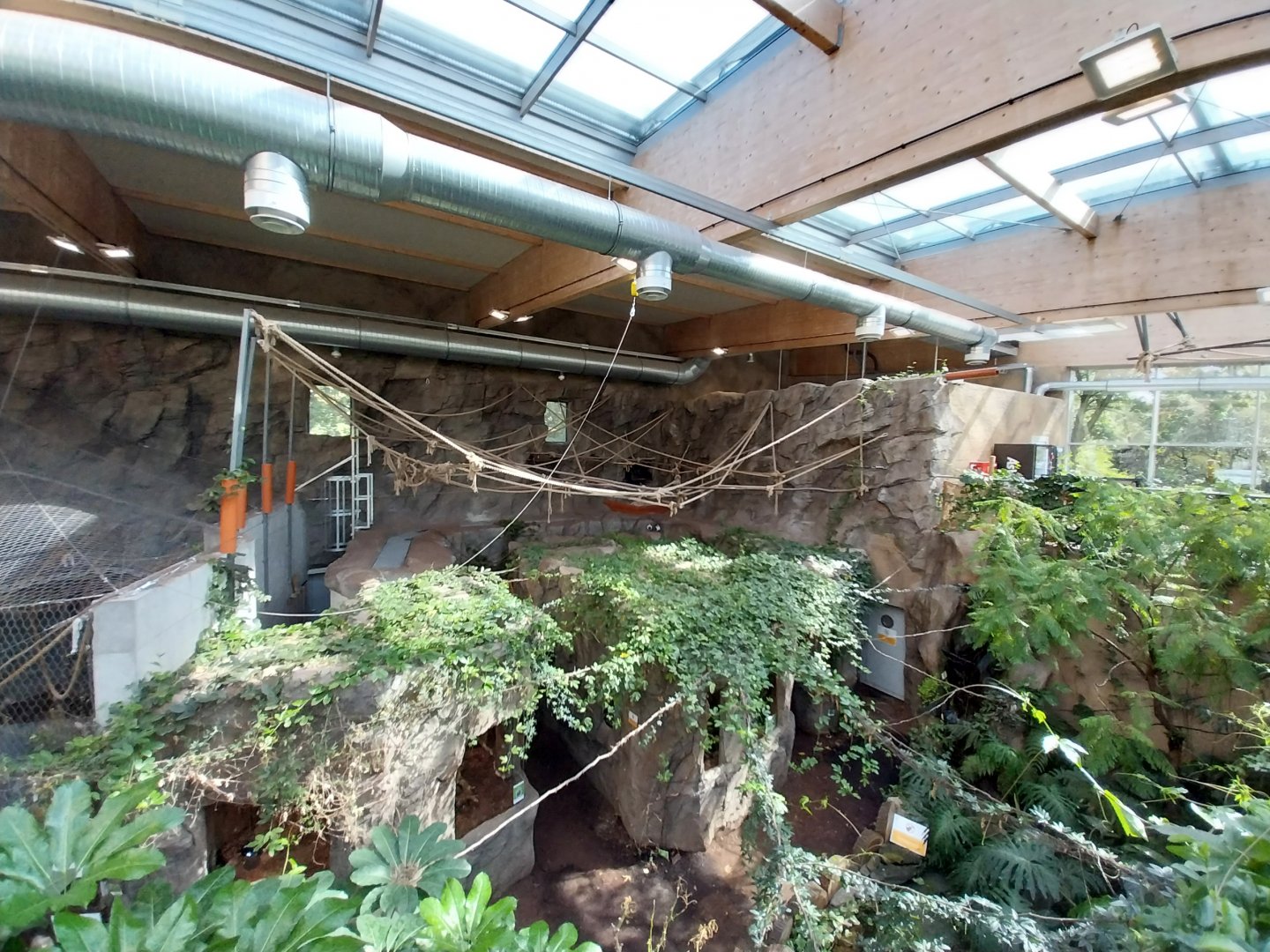 South America House - Upper Floor - Reptile section