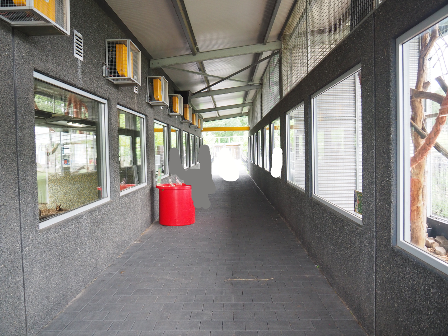 South America House visitor area, 2022-05-17