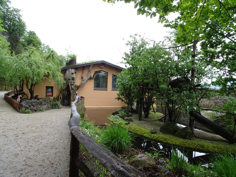 South-America House with capuchin enclosure