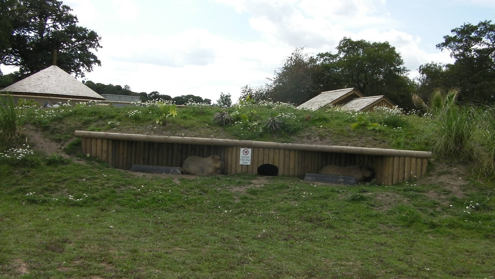 South America Iviva - 19.08.2011