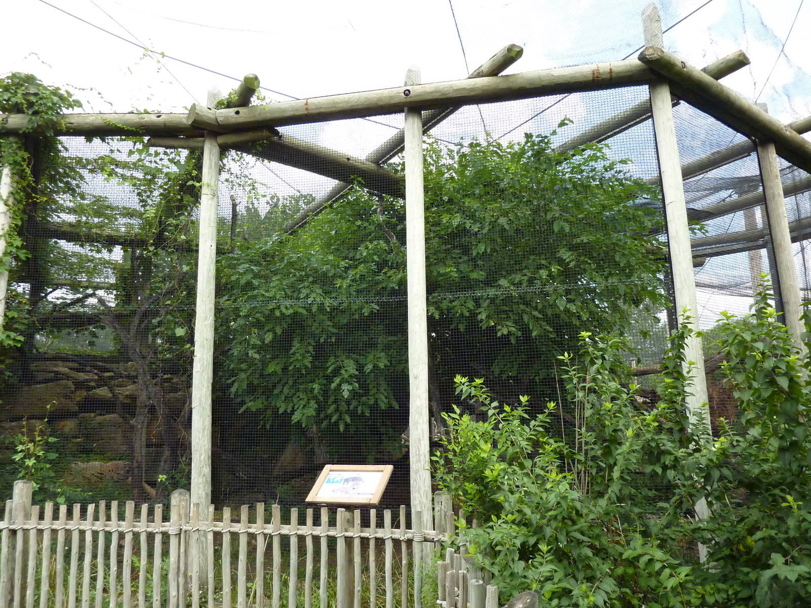South America - Jaguar Exhibit