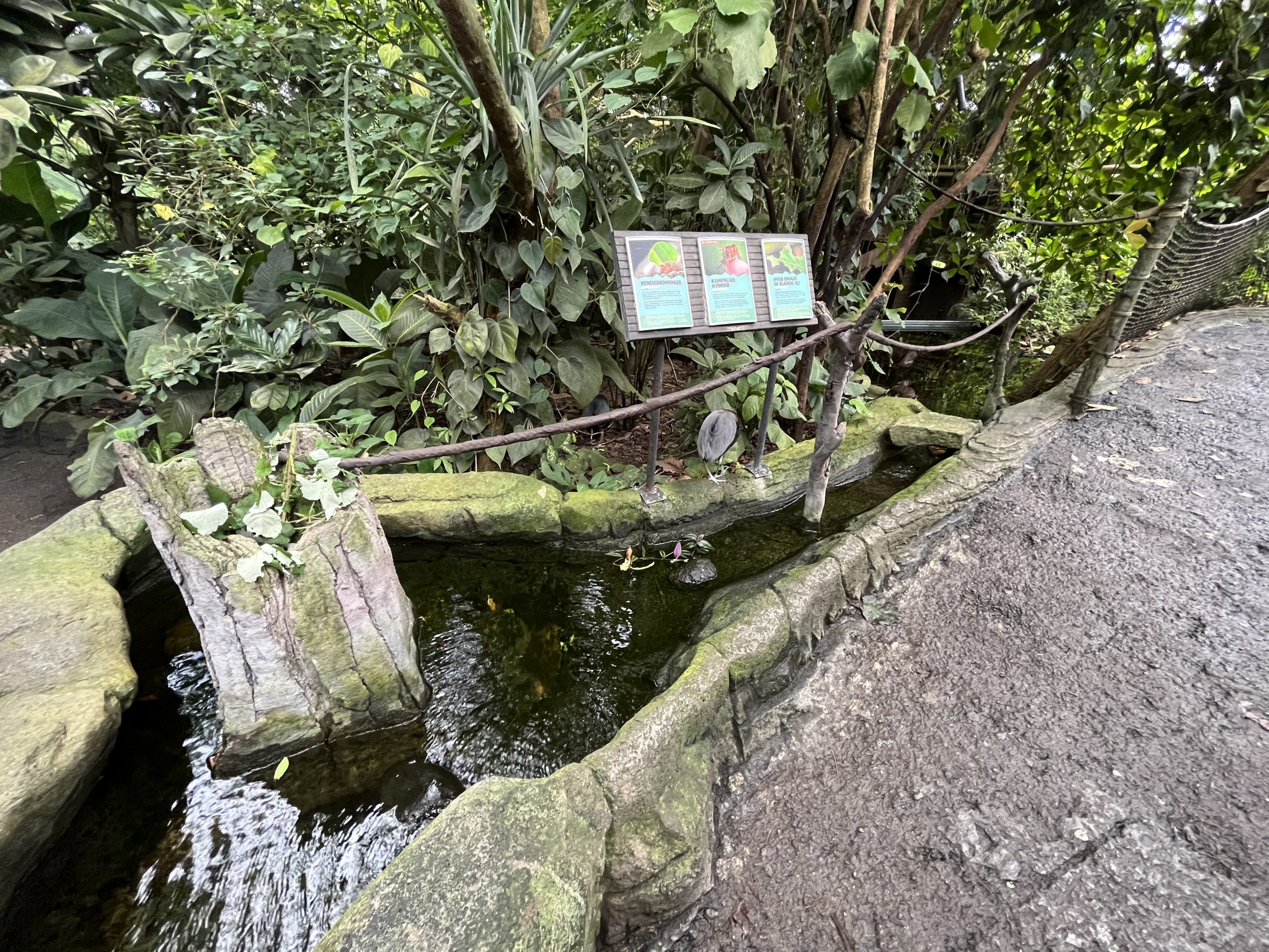 South America - Leafcutter Ant Exhibit