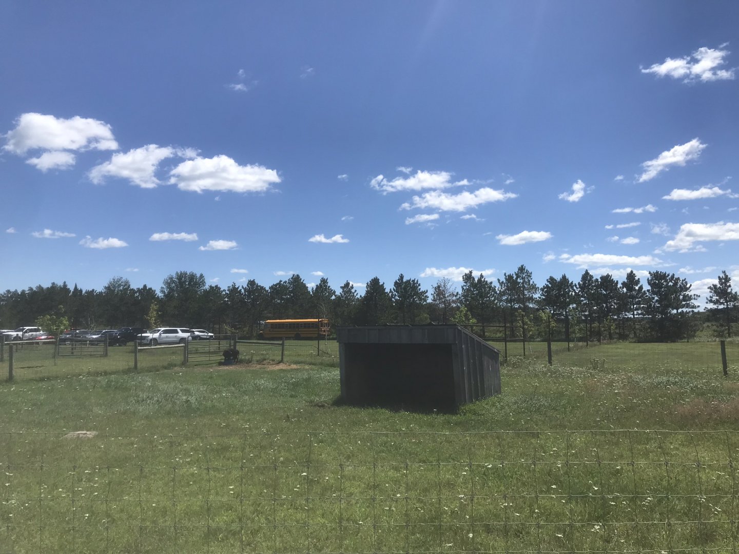 “South America” - Lowland Anoa Exhibit