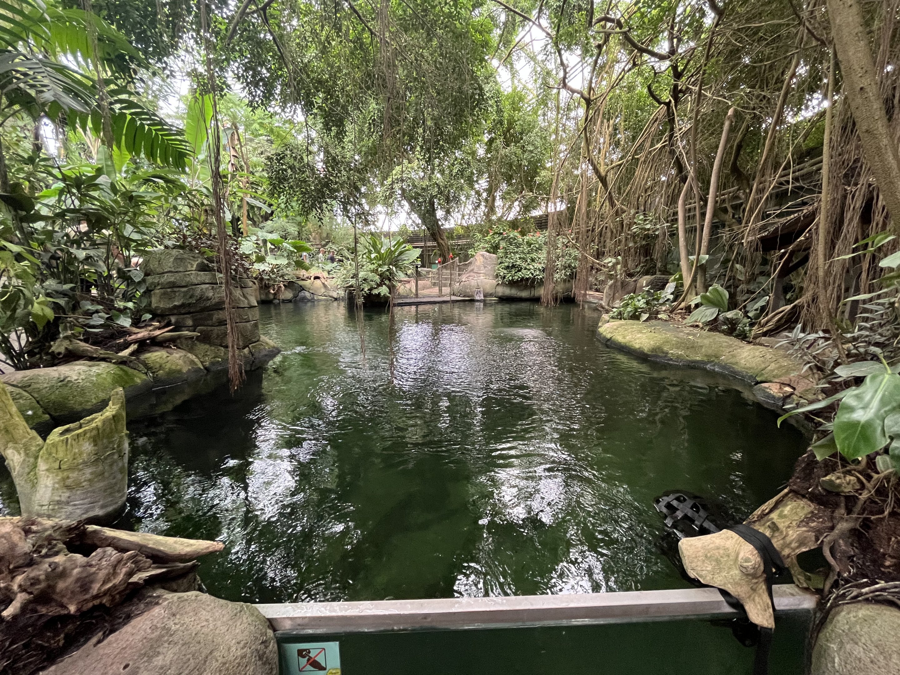 South America - Manatee Pool