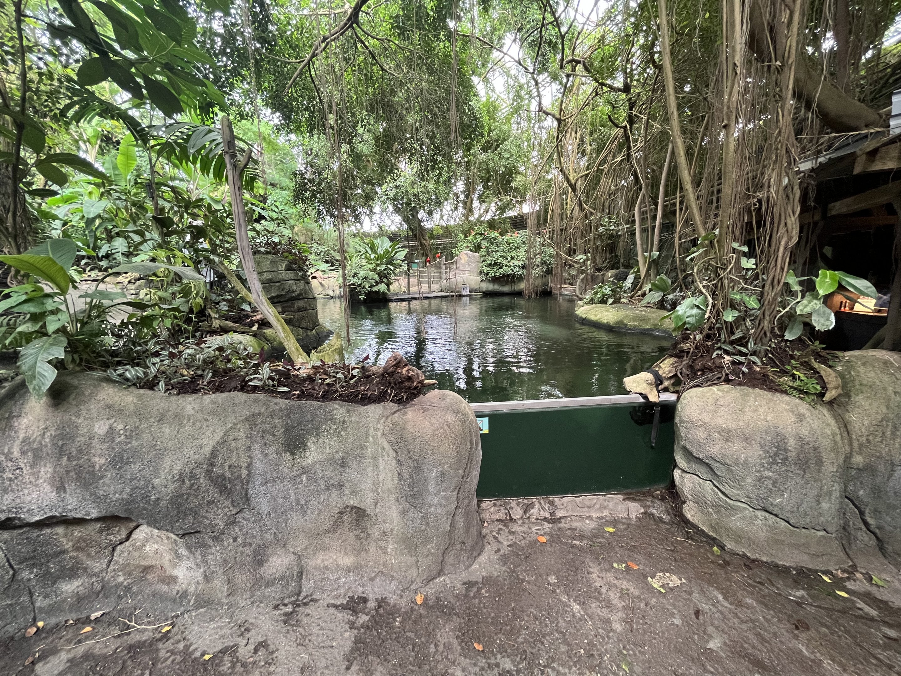 South America - Manatee Pool