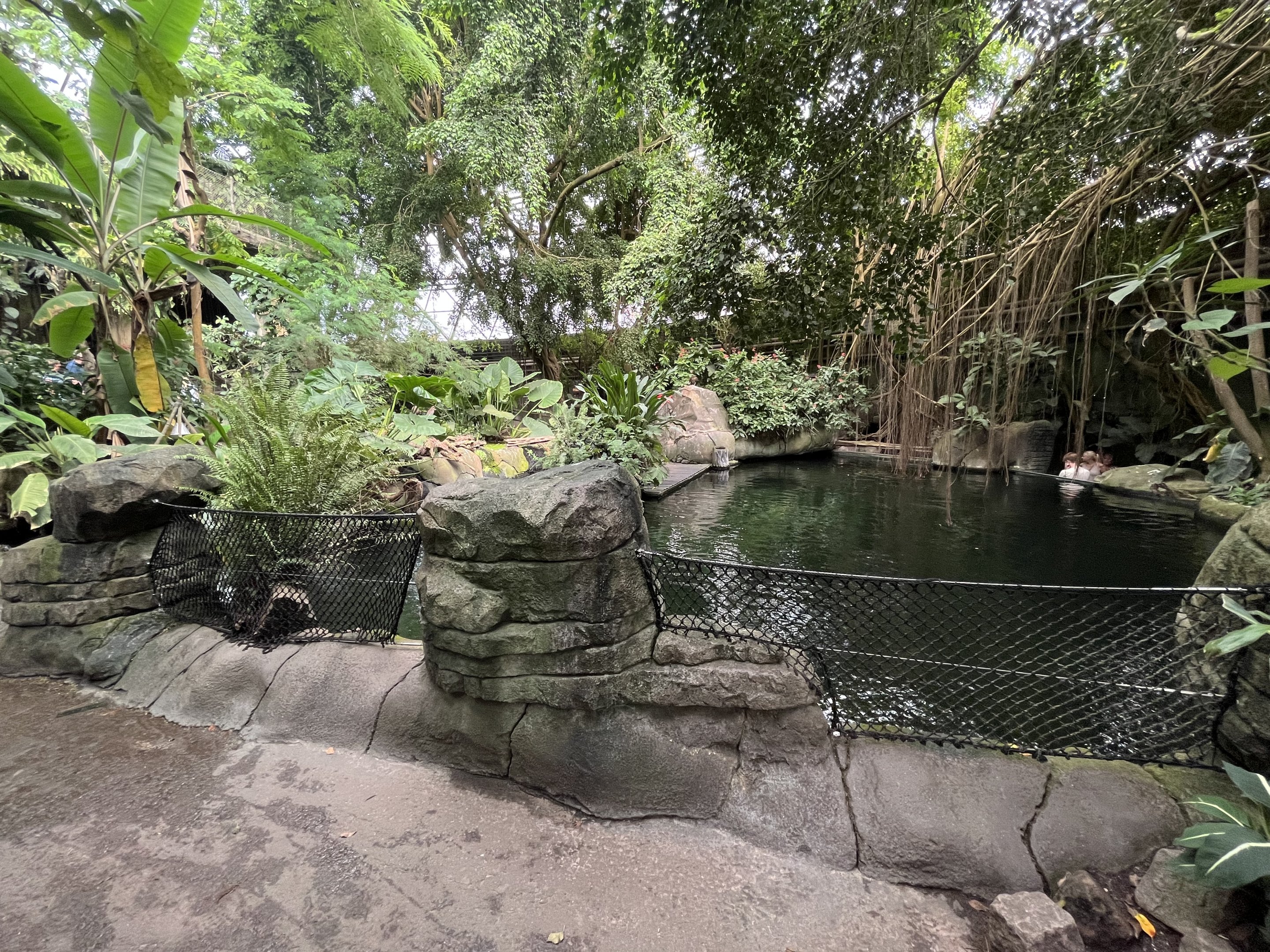 South America - Manatee Pool