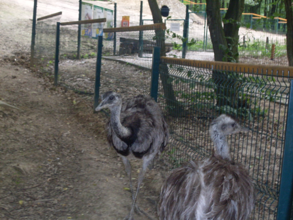 South-America mixed exhibit