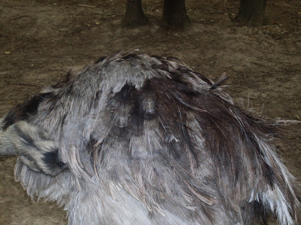 South-America mixed exhibit