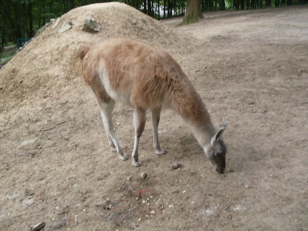 South-America mixed exhibit