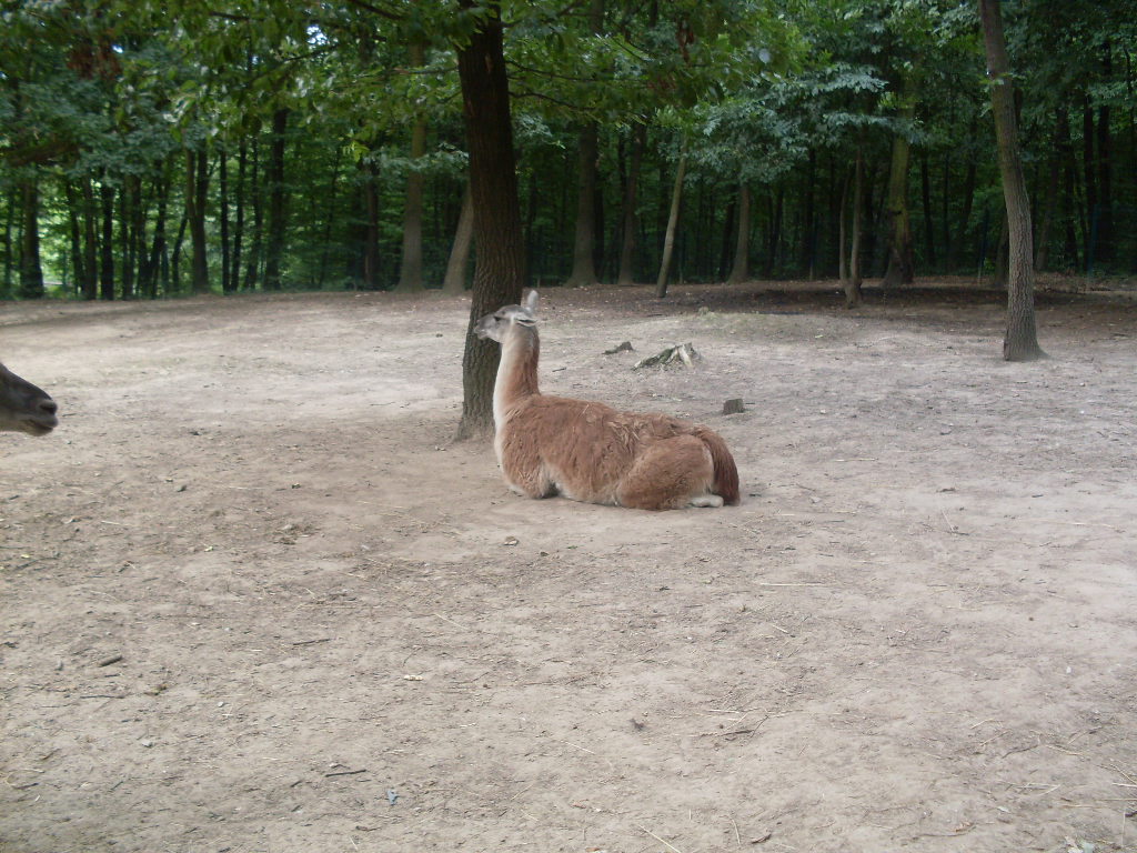 South-America mixed exhibit