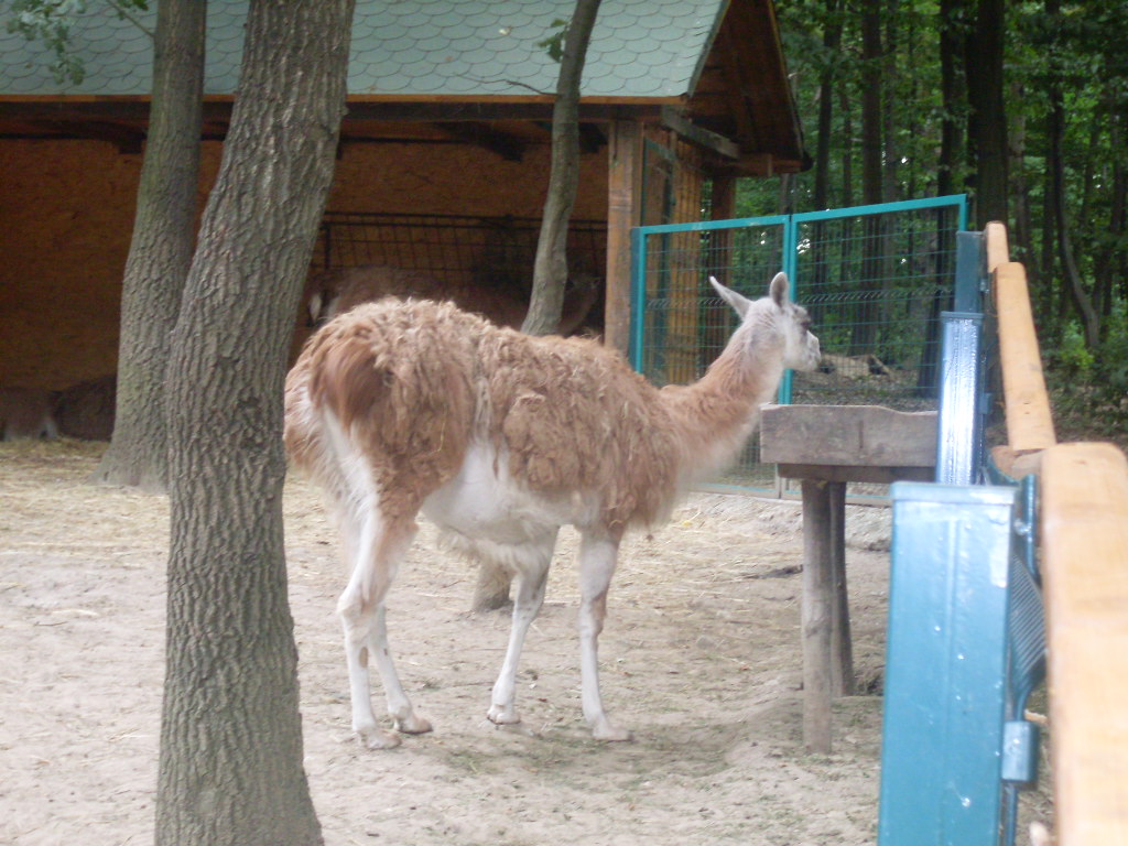 South-America mixed exhibit