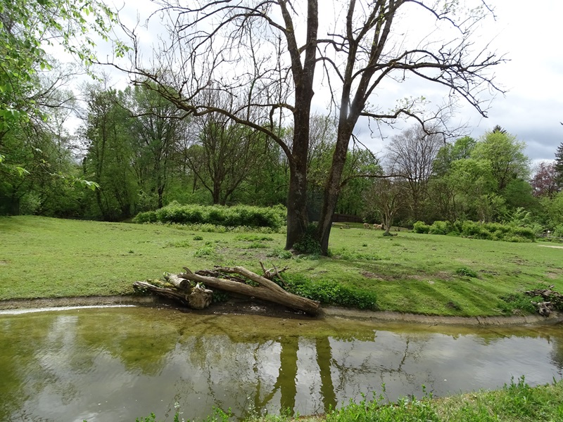 South America paddock