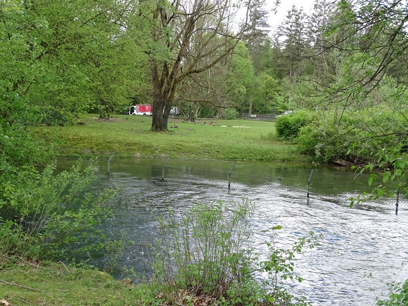 South America paddock