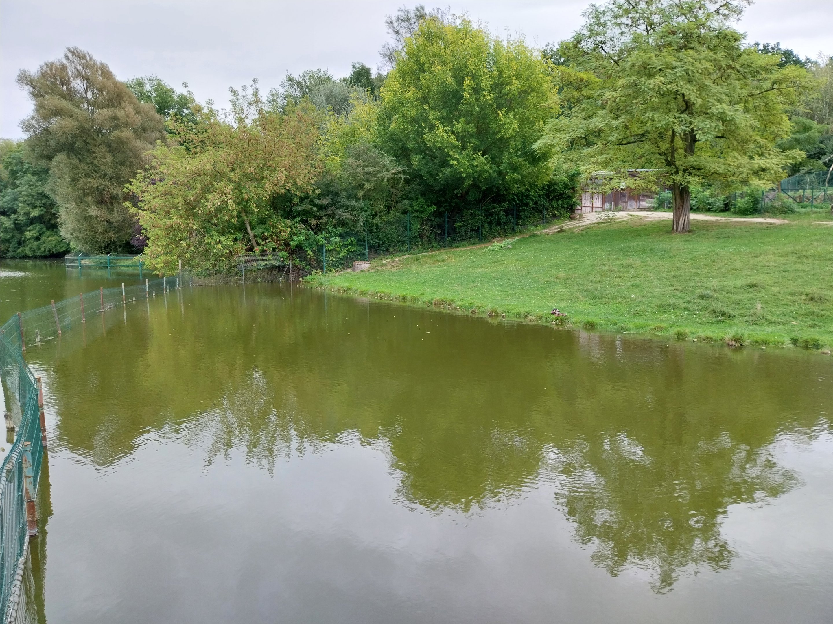 South America - Pampa