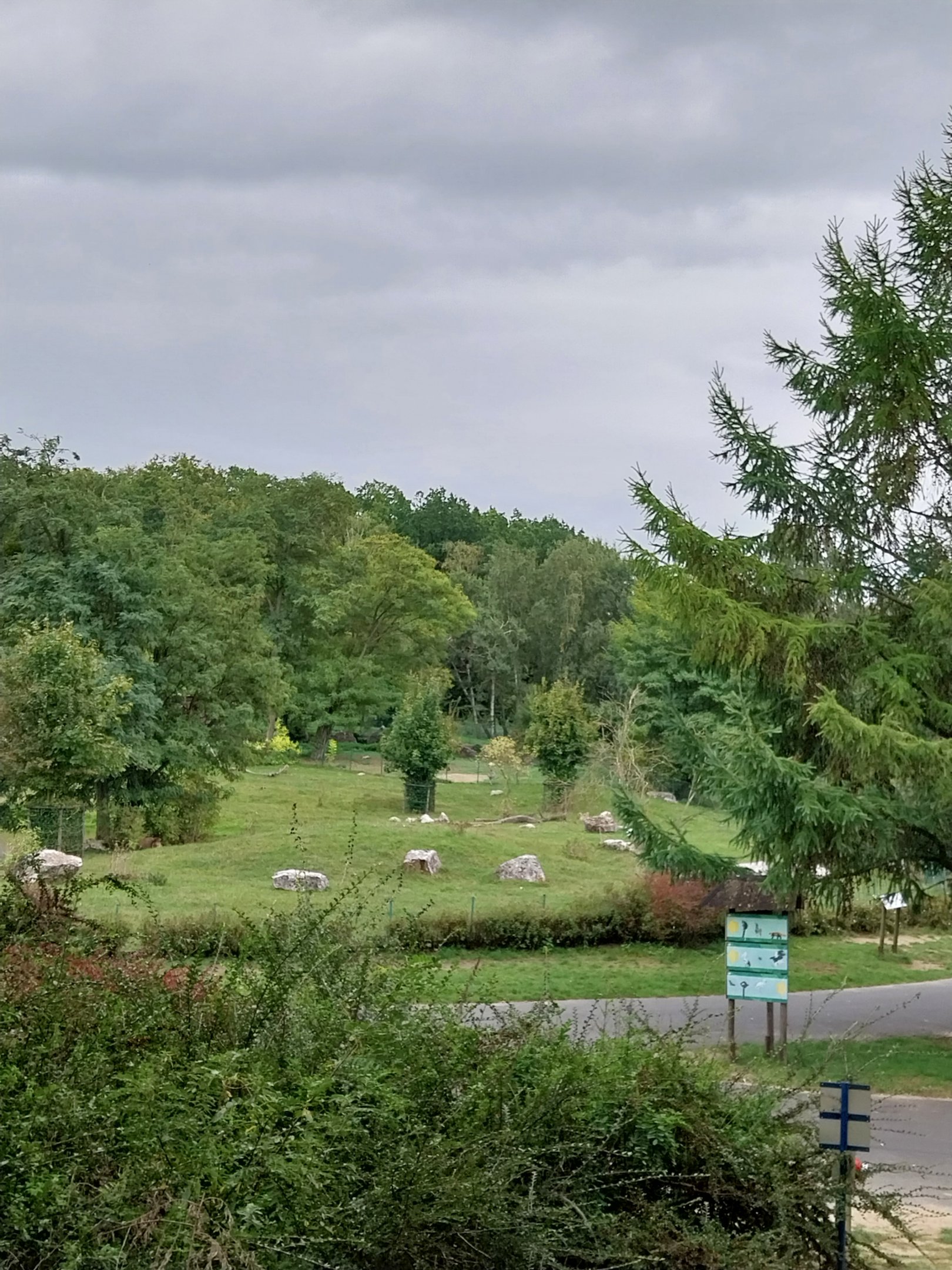 South America - Pampa