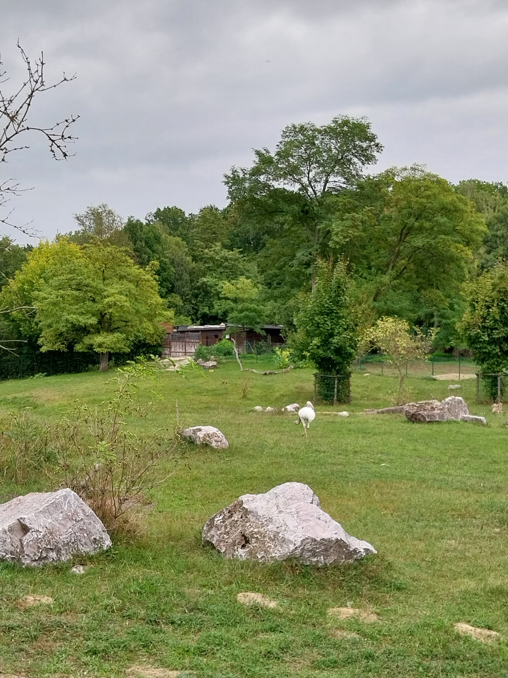 South America - Pampa