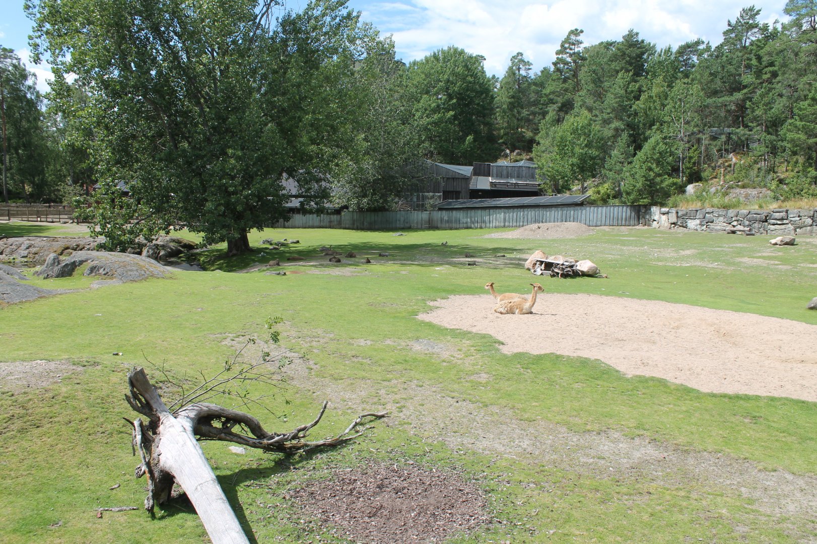 South America Pampas Enclosure