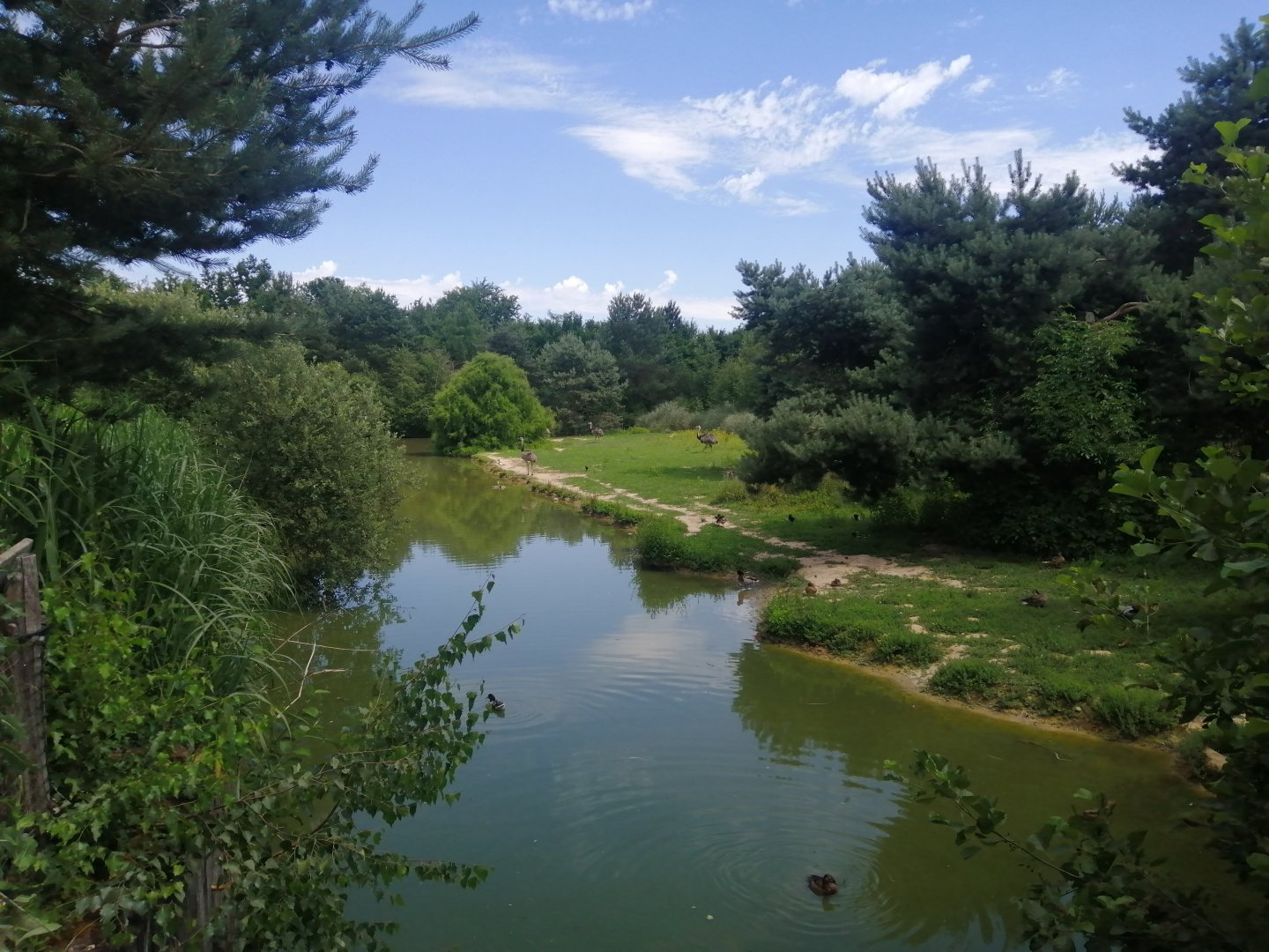 South America - Pampas exhibit