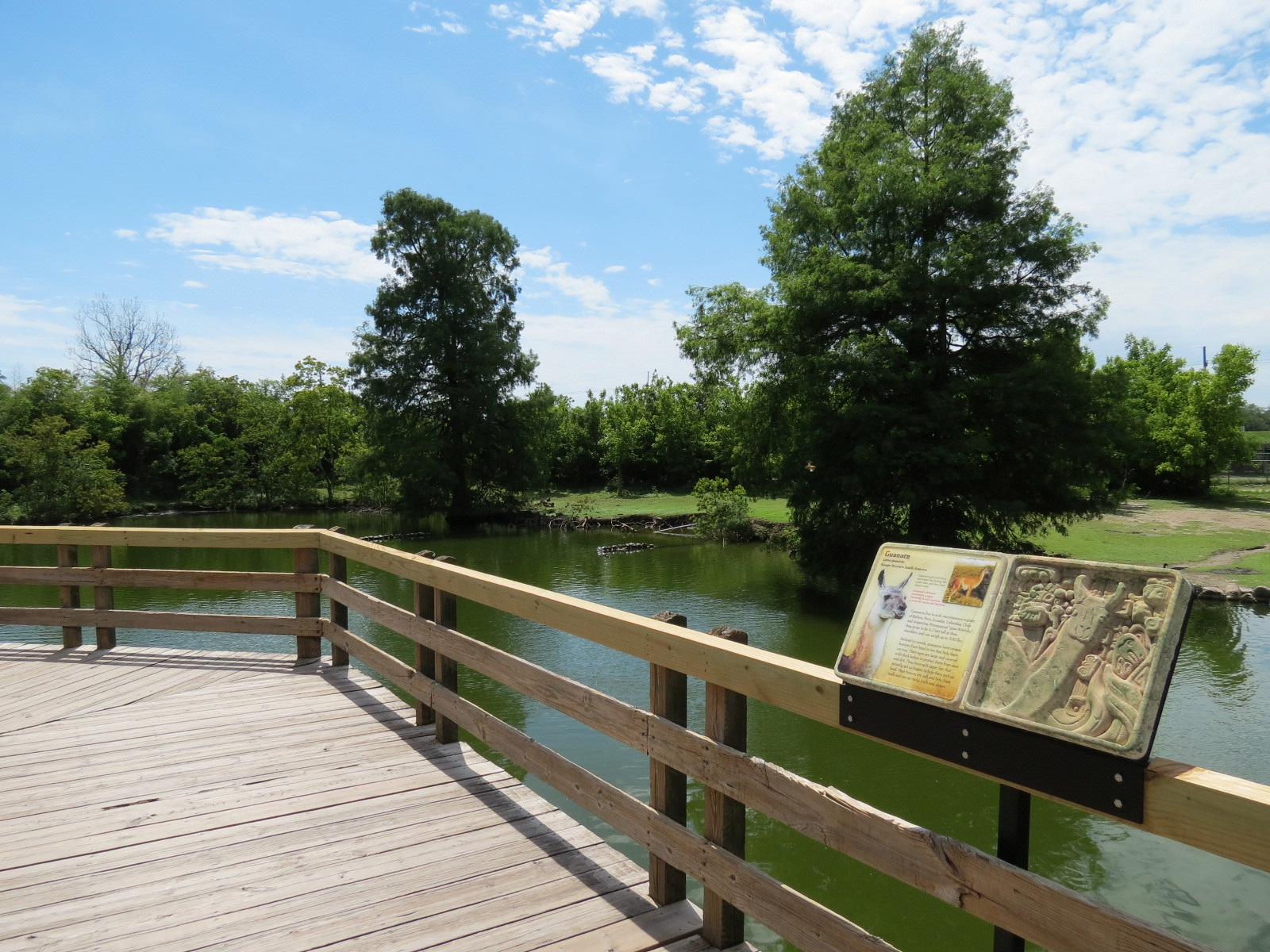 South America Pampas - Viewing Deck