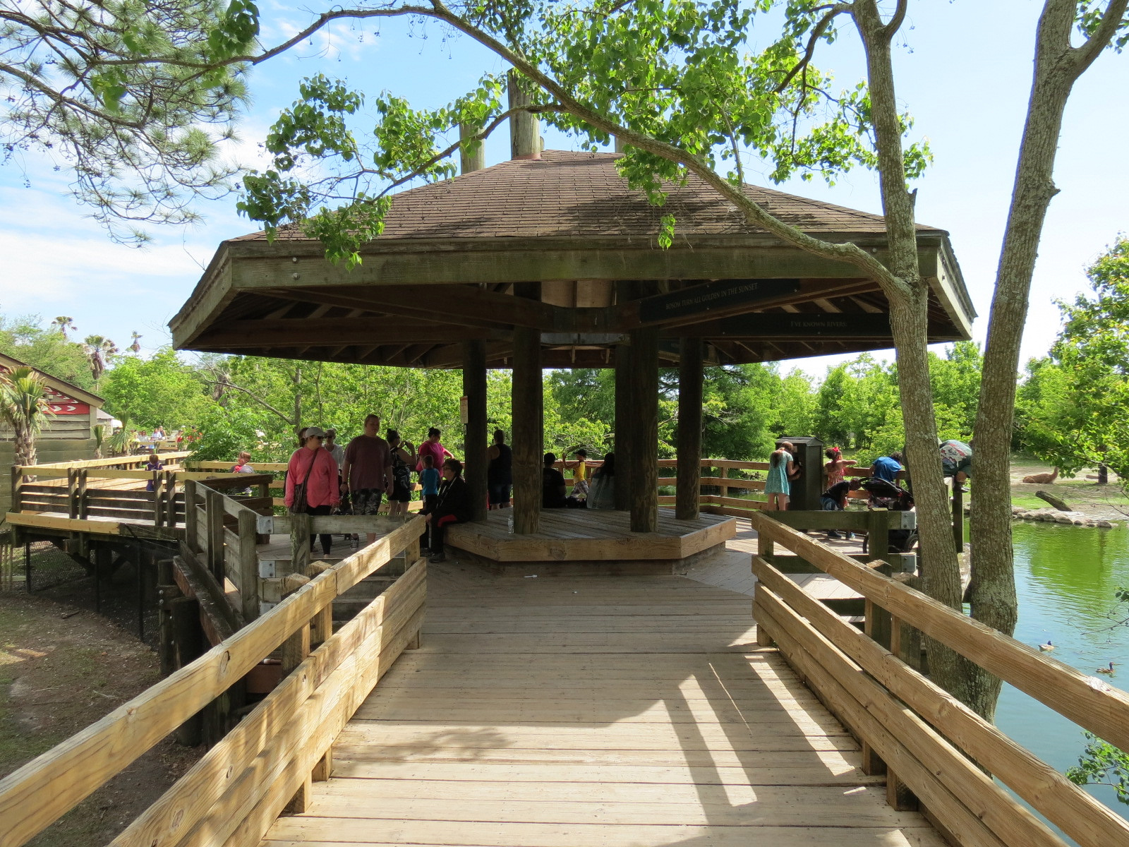 South America Pampas - Viewing Deck