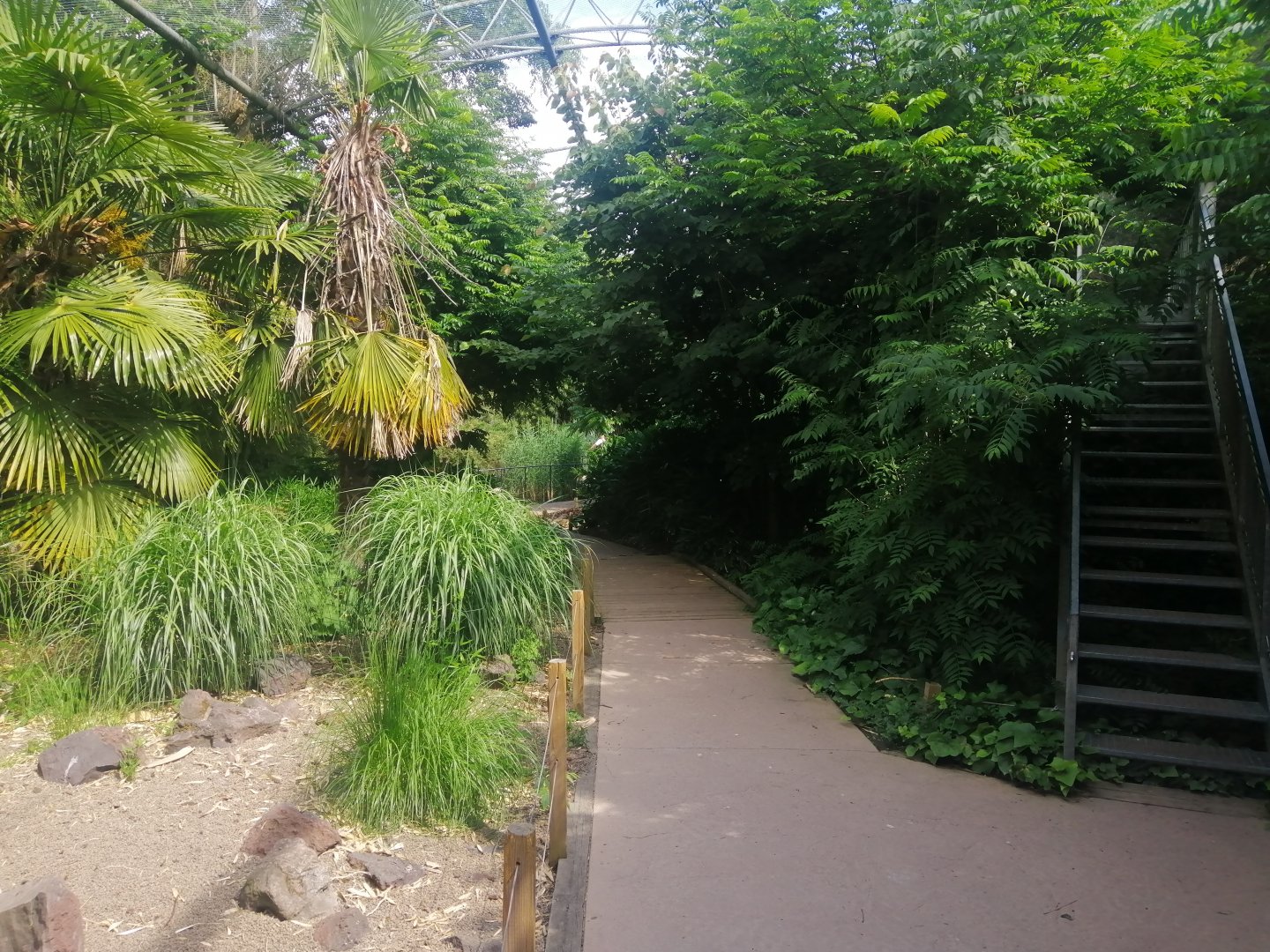 South America - Pantanal Aviary (Species list in comment)