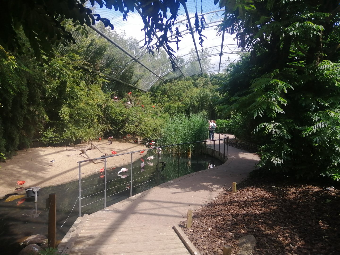South America - Pantanal Aviary (Species list in comment)