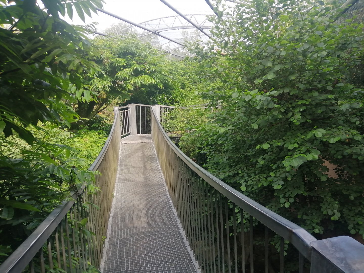 South America - Pantanal Aviary (Species list in comment)