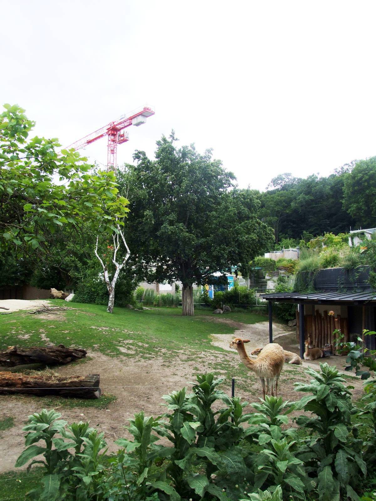 South America Park at Vienna, 14/06/13