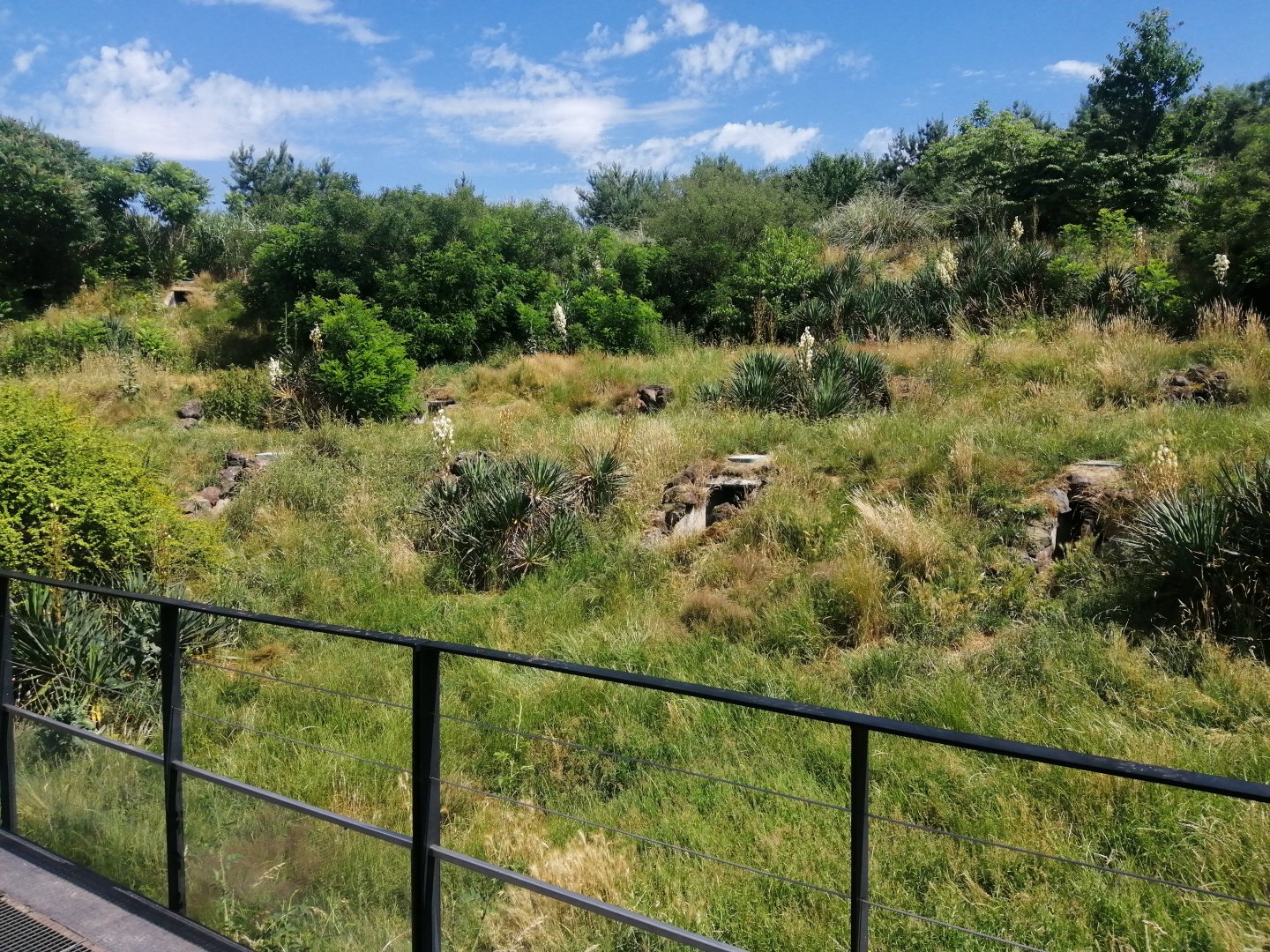 South America - Penguin Cove