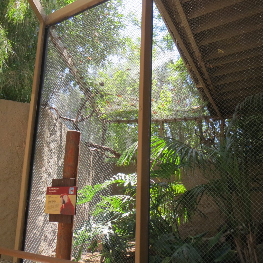 South America - Scarlet Macaw Exhibit