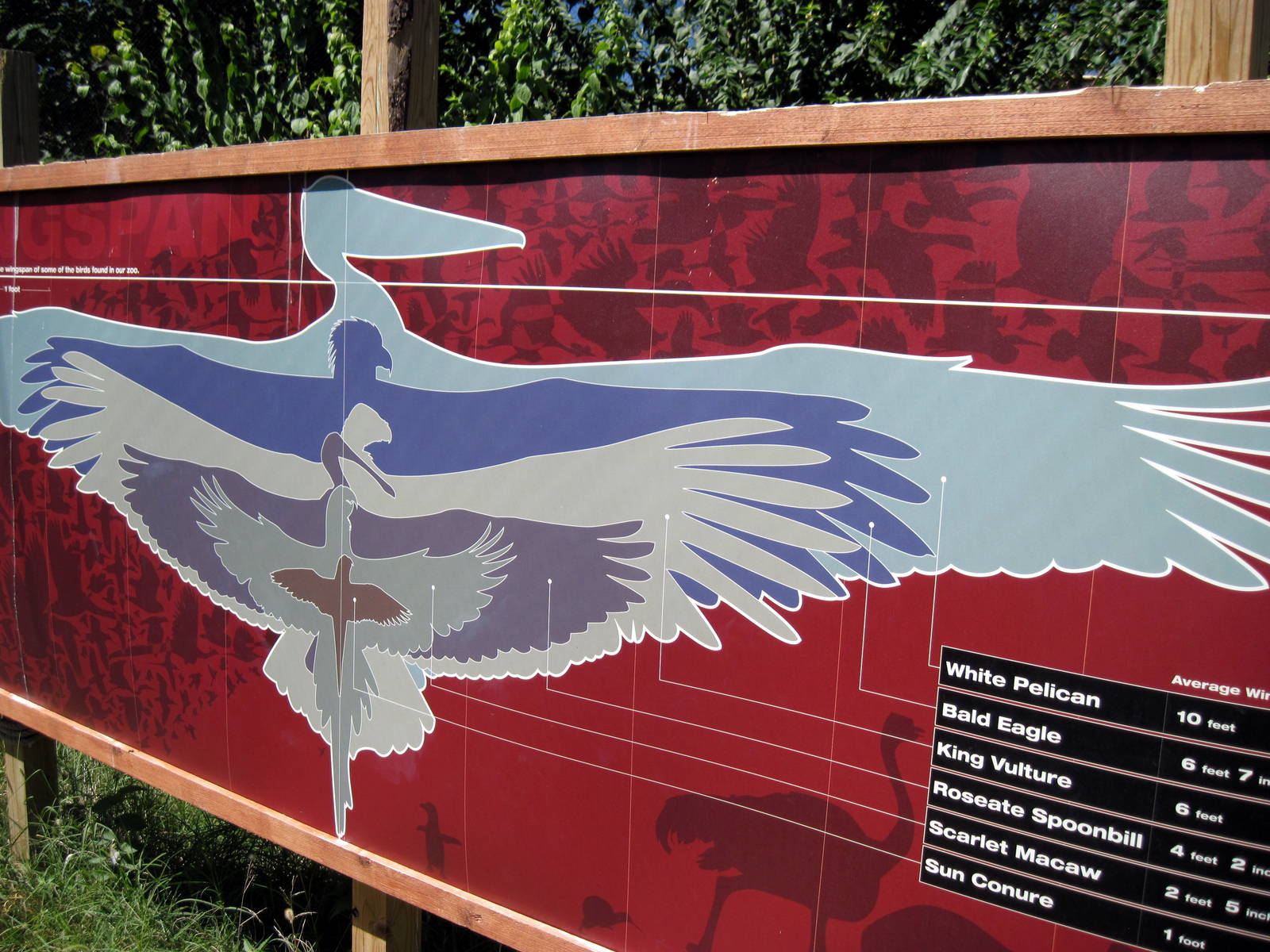 South America-Signage