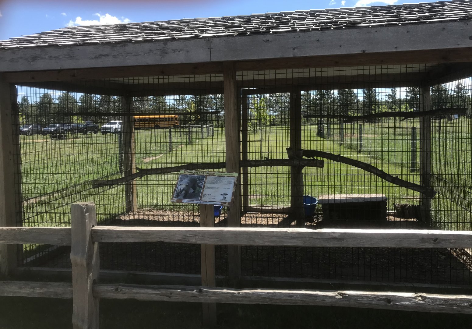 “South America” - South American Coati Exhibit