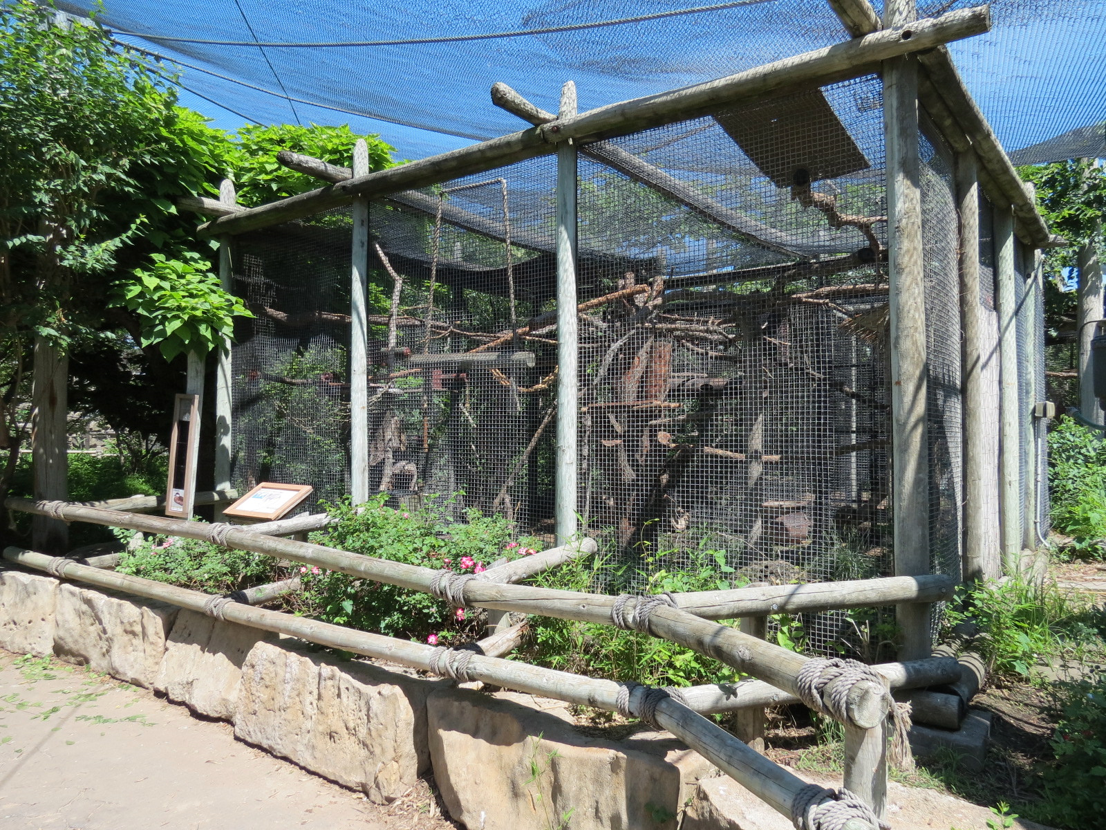 South America - Squirrel Monkey Exhibit
