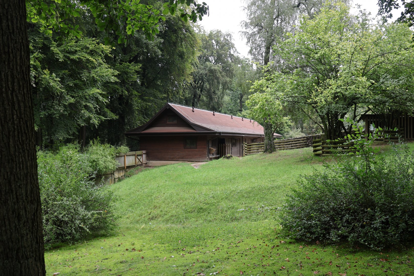 South America Tapir stable