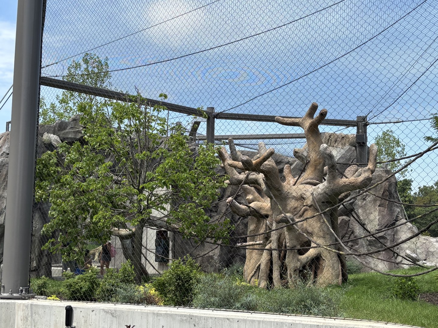 South America view 1