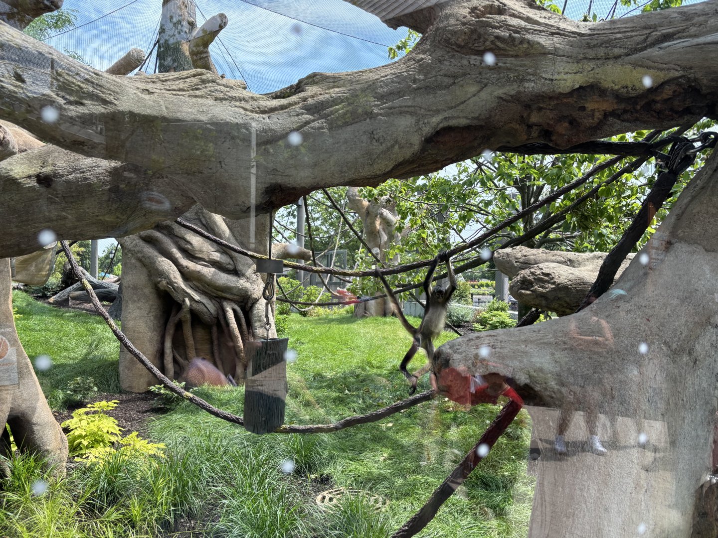 South America view 2