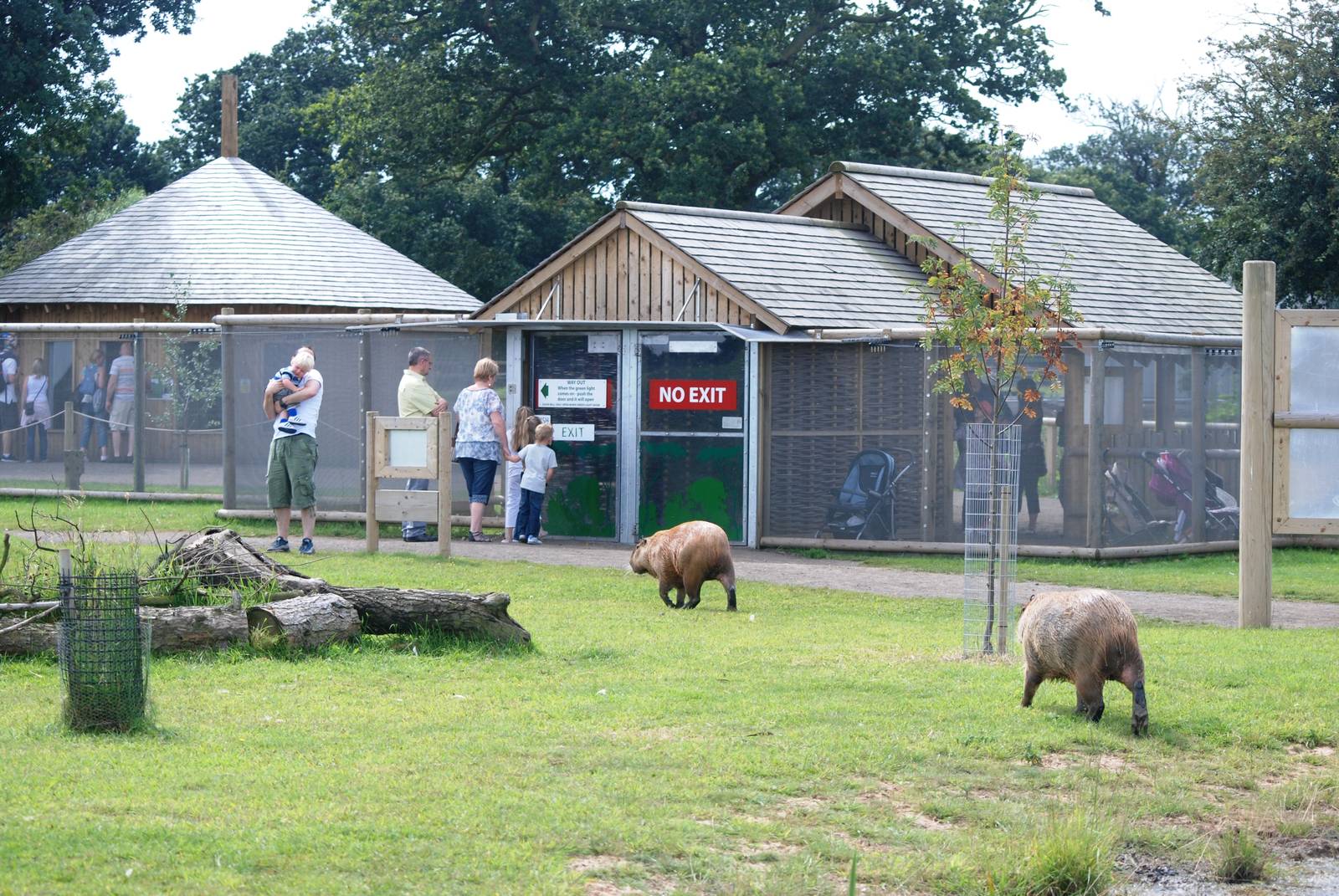 South America Viva at Yorkshire WP, 05/08/12