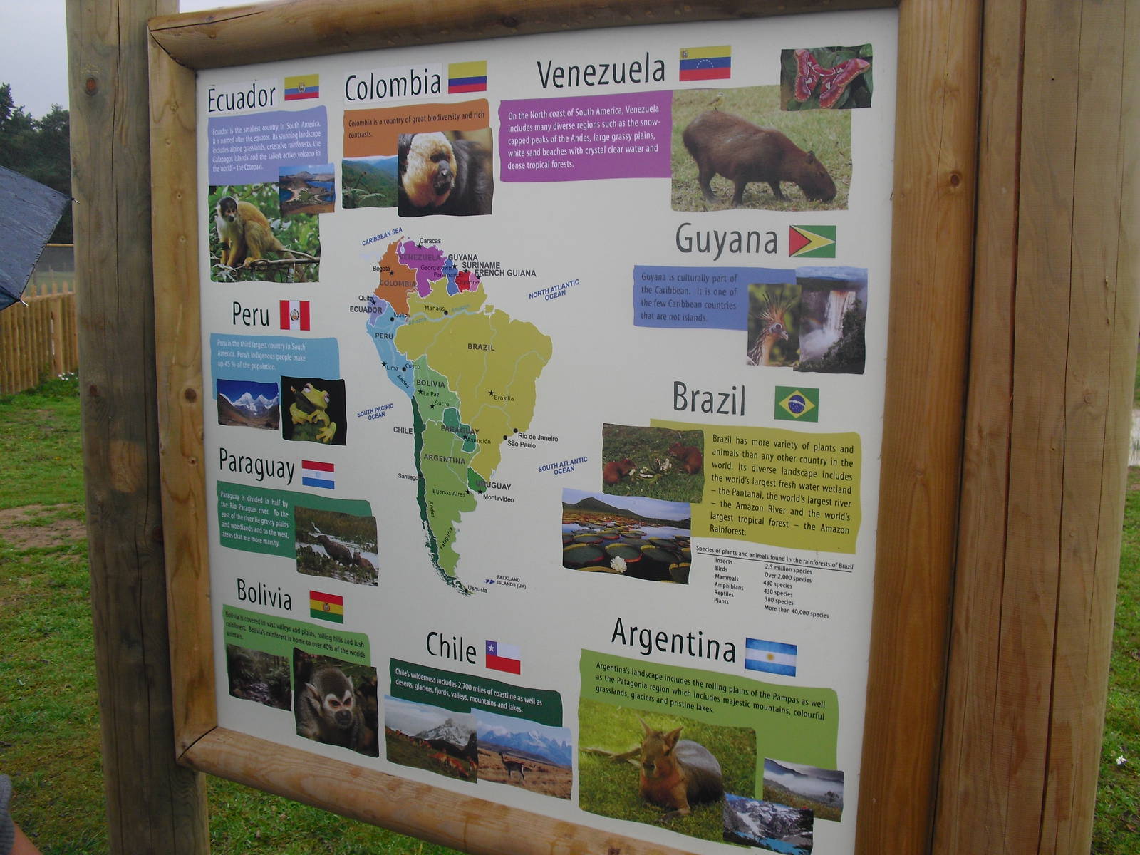 South America Viva - Signage - 06/09/2011