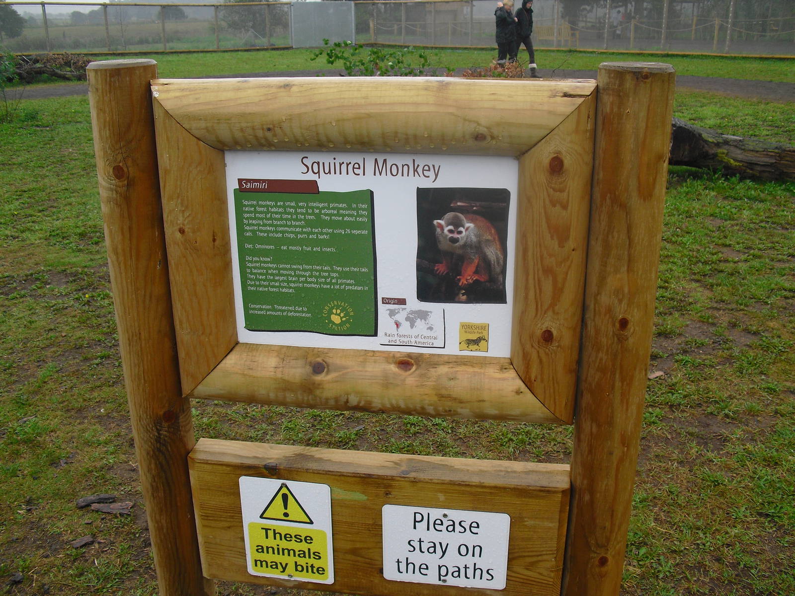 South America Viva - Squirrel Monkey Sign - 06/09/2011