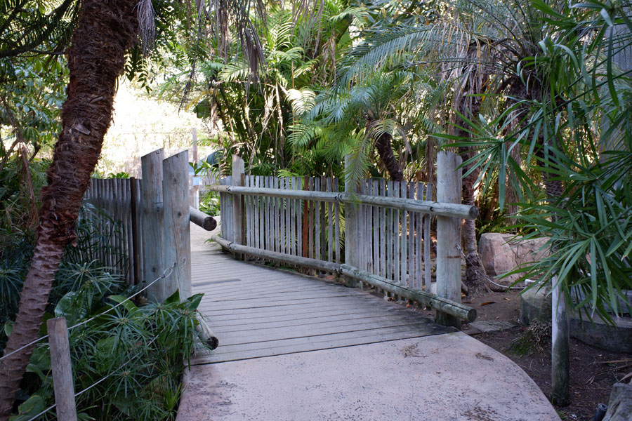 south america walk-in aviary