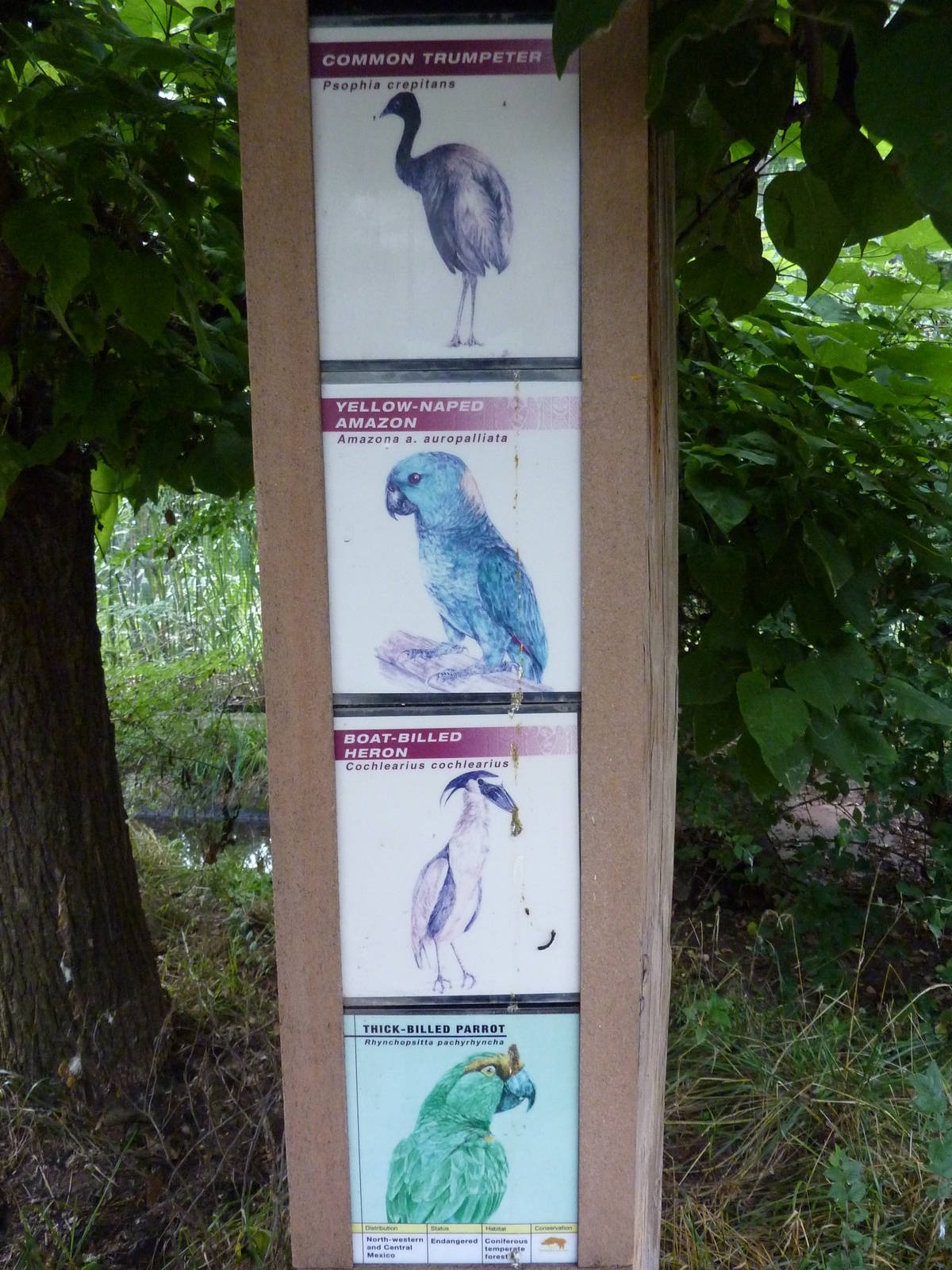 South America - Walk-Through Aviary Signage