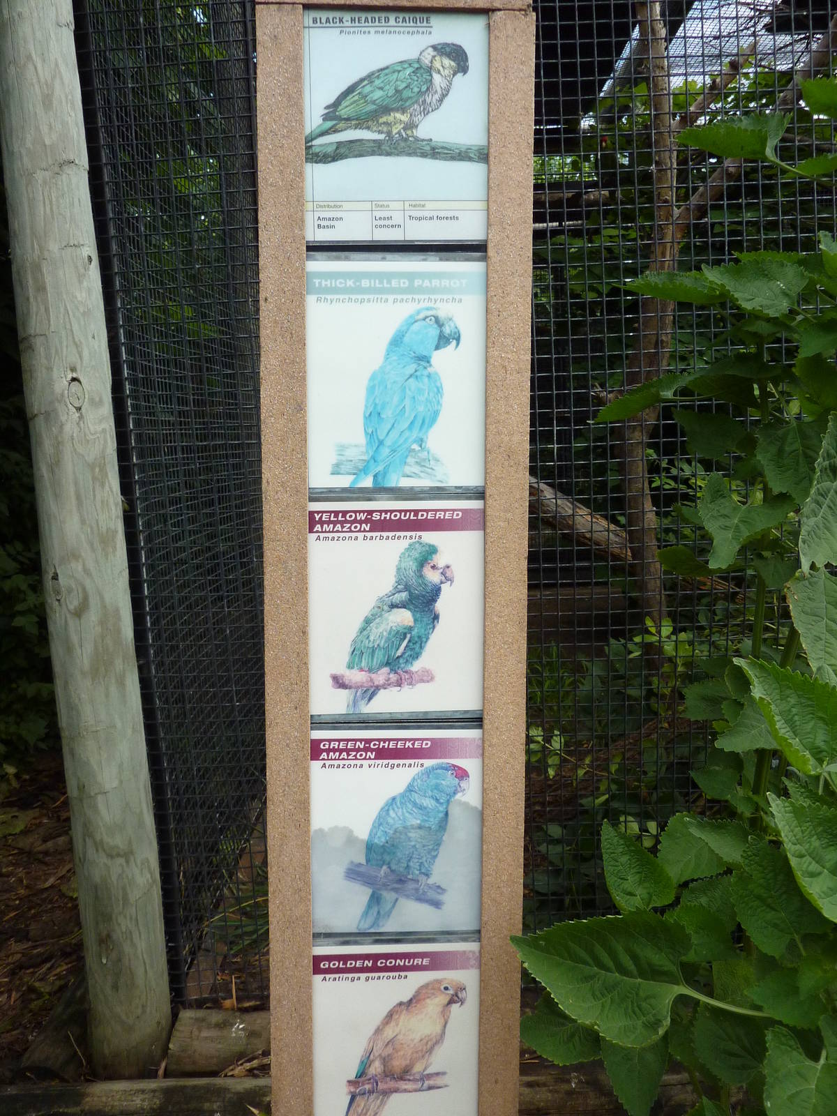 South America - Walk-Through Aviary Signage