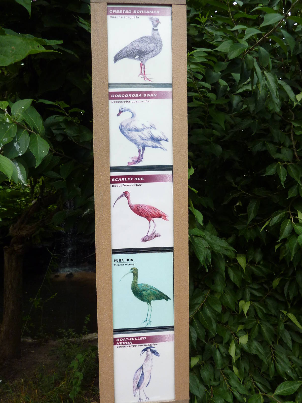 South America - Walk-Through Aviary Signage