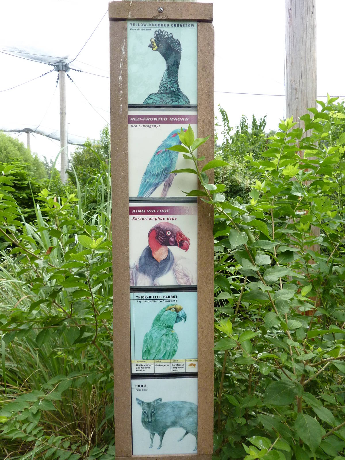 South America - Walk-Through Aviary Signage