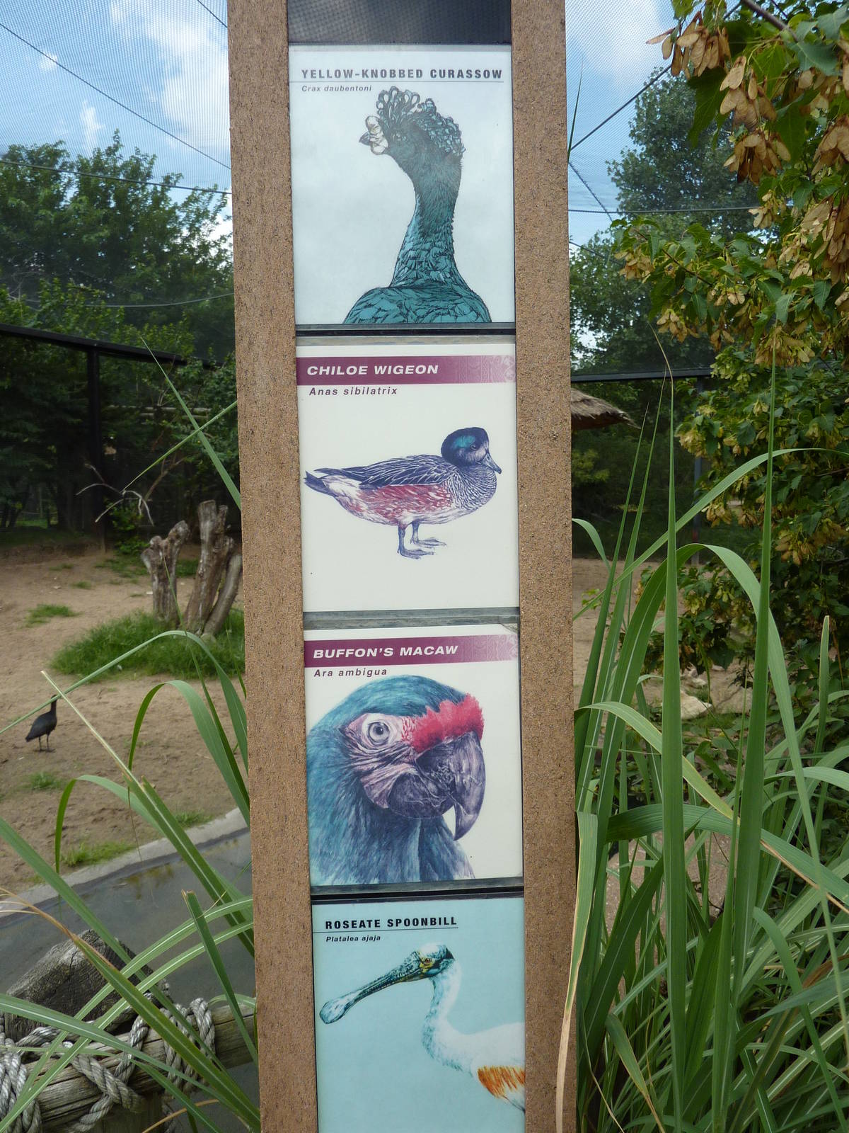 South America - Walk-Through Aviary Signage