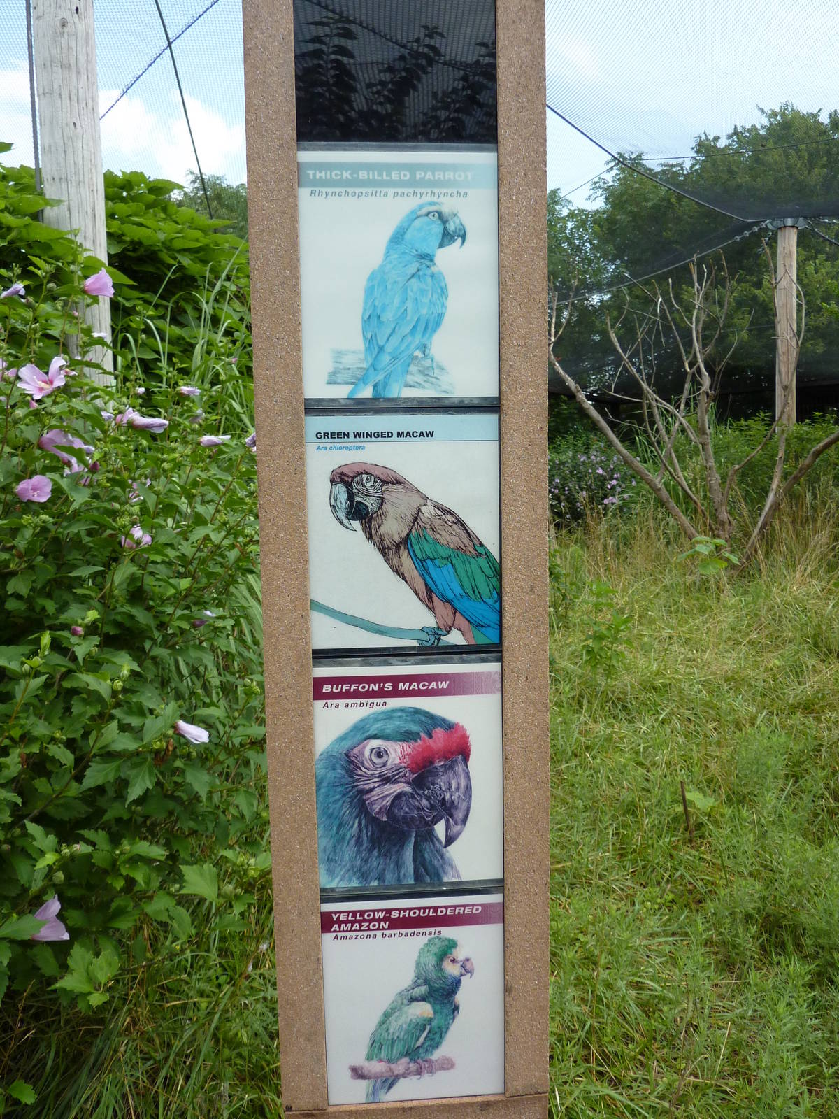 South America - Walk-Through Aviary Signage