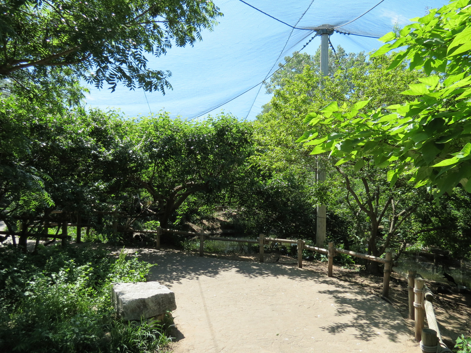 South America - Walk-through Aviary Yard