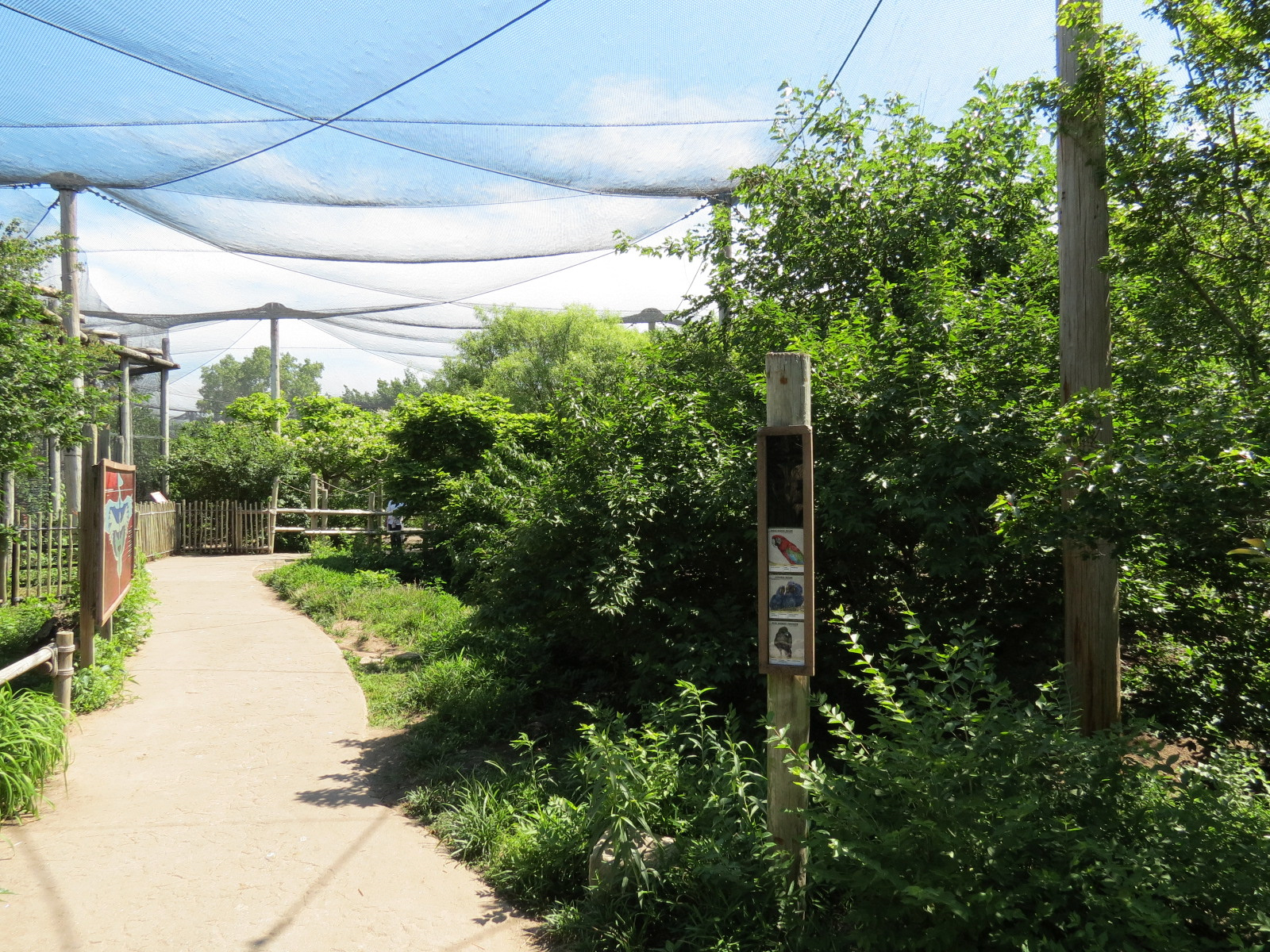 South America - Walk-through Aviary Yard